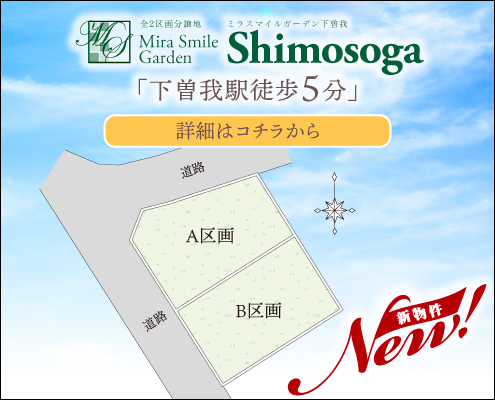 MSG下曽我