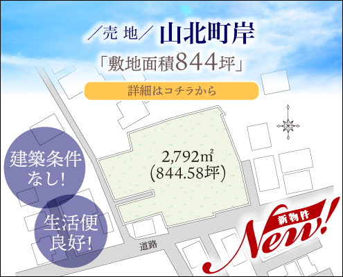 岸