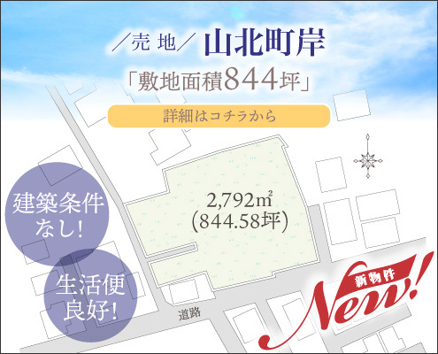 岸