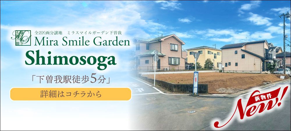 MSG下曽我