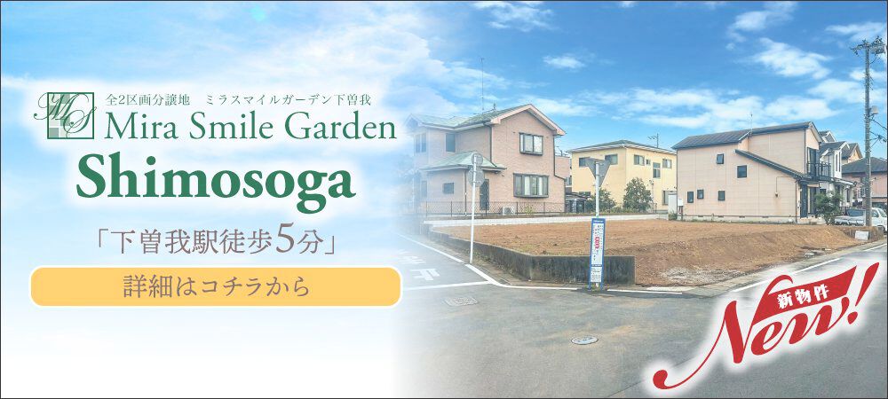 MSG下曽我